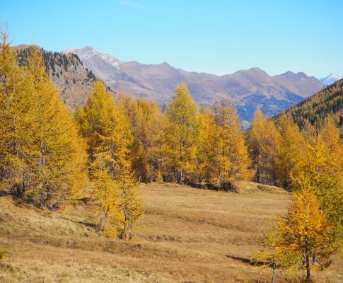 Herbst 2018 – Achensee, Virgental, St. Leonhard