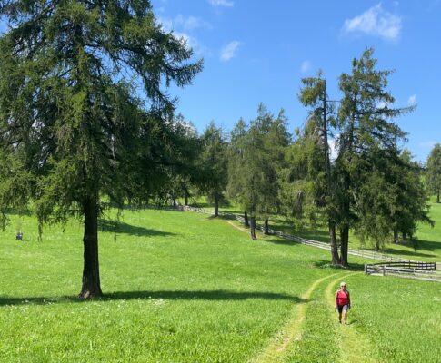Sommerreise 2021 (3)  Südtirol: Jenesien: Camping Chalet Salten & Vals (Jochtal): Camping Lärchwiese
